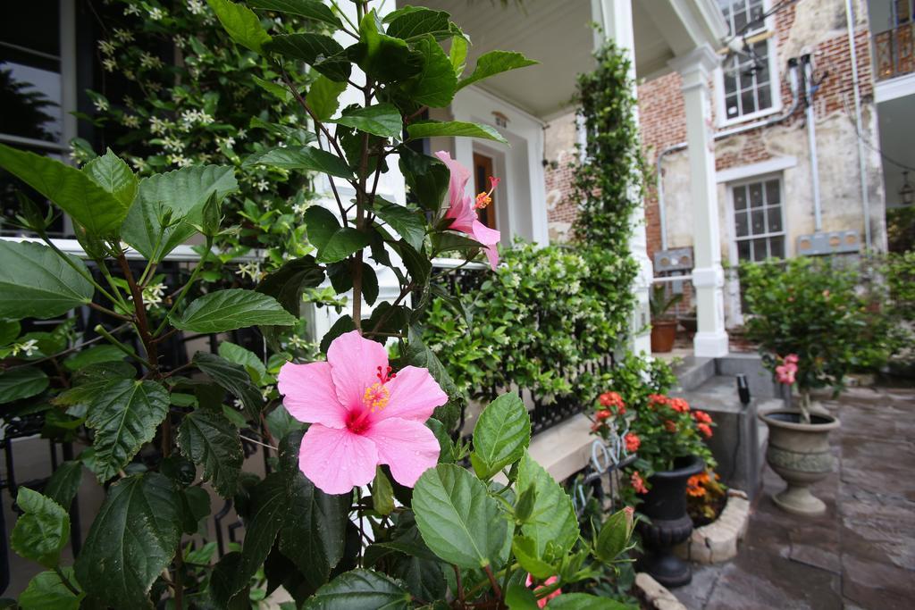 Bed and Breakfast Fleur De Lis Mansion New Orleans Exterior foto