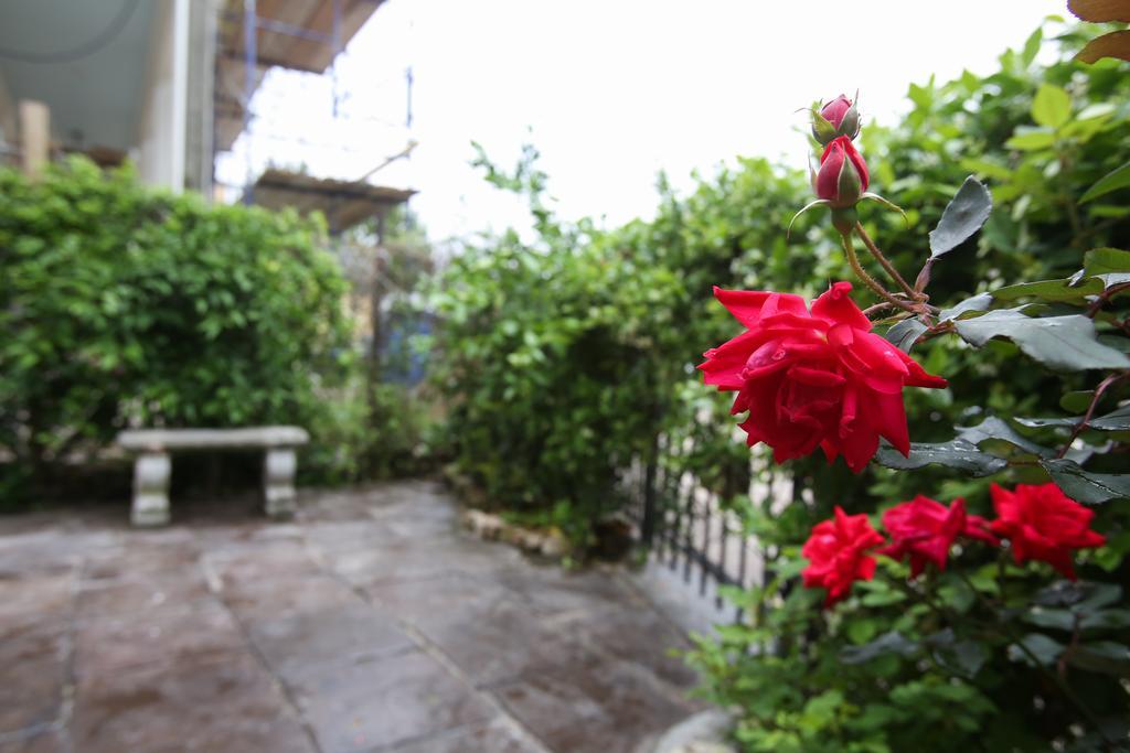 Bed and Breakfast Fleur De Lis Mansion New Orleans Exterior foto