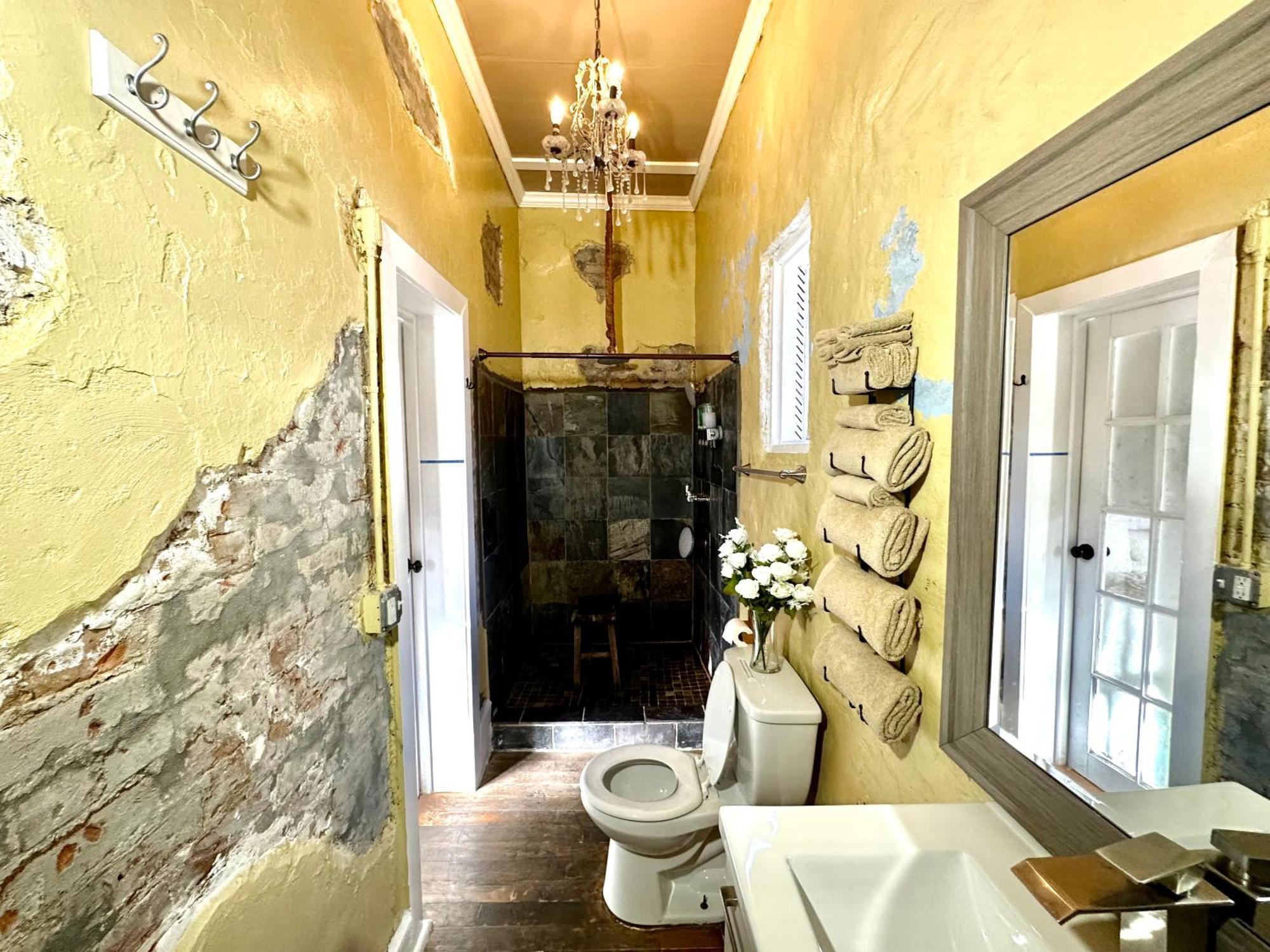 Bed and Breakfast Fleur De Lis Mansion New Orleans Exterior foto